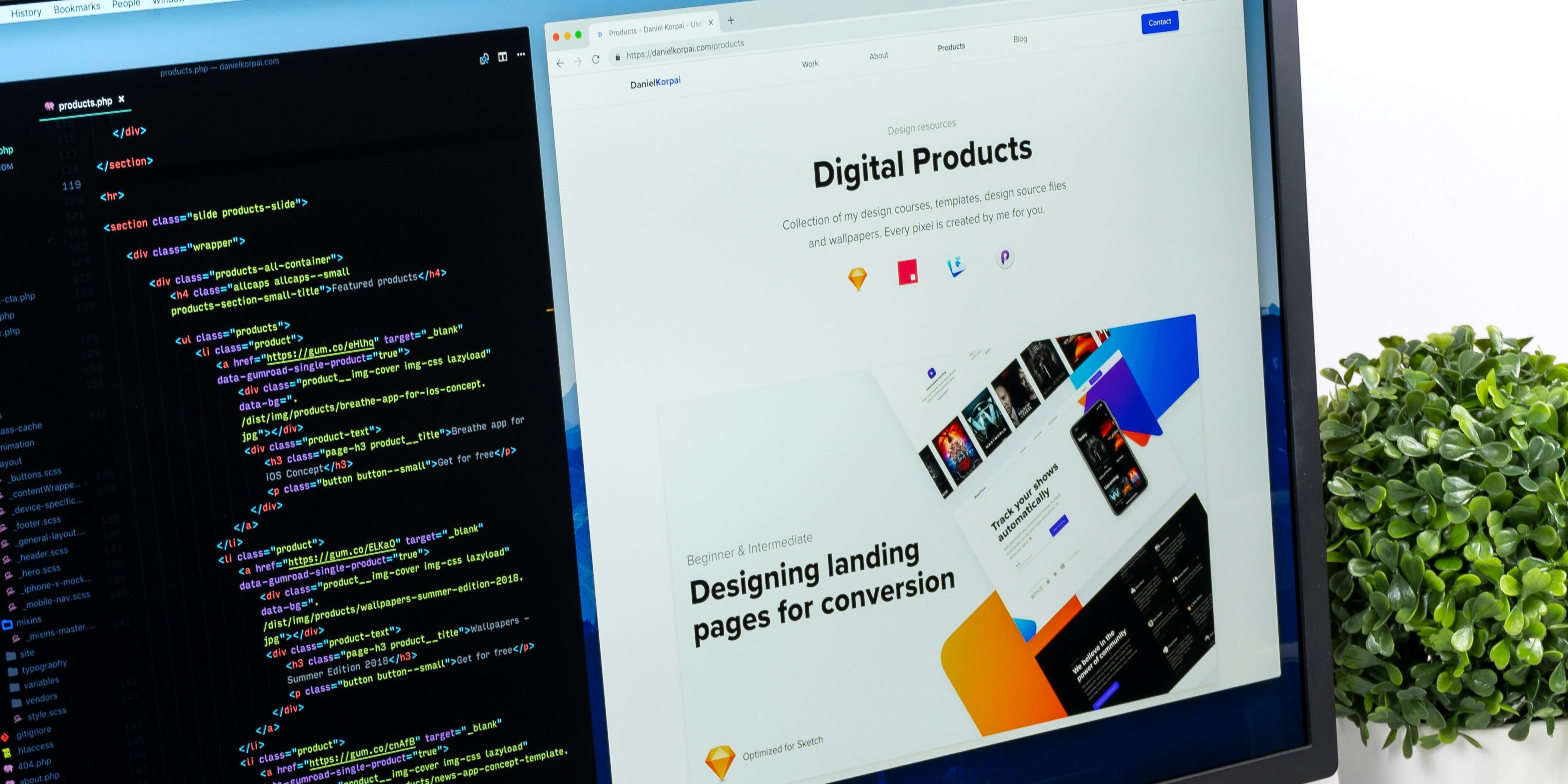 Website Development